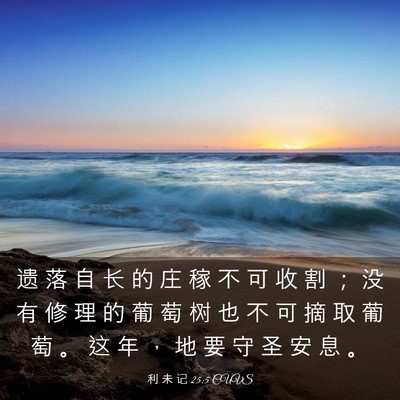 Picture 03 - 利 未 记 25:5 CUVS - 遗 落 自 长 的 庄 稼 不 可 收 割 ； - Bible Verse Picture