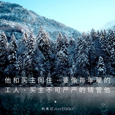 Picture 03 - 利 未 记 25:53 CUVS - 他 和 买 主 同 住 ， 要 像 每 年 雇 - Bible Verse Picture