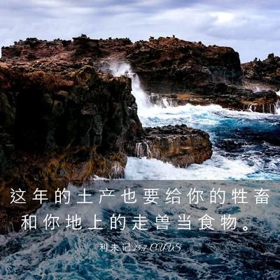 Picture 03 - 利 未 记 25:7 CUVS - 这 年 的 土 产 也 要 给 你 的 牲 畜 - Bible Verse Picture