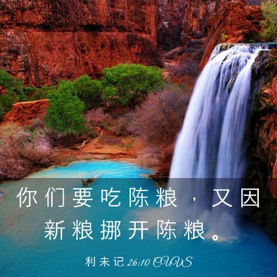 Picture 03 - 利 未 记 26:10 CUVS - 你 们 要 吃 陈 粮 ， 又 因 新 粮 挪 - Bible Verse Picture