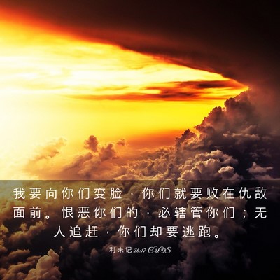 Picture 03 - 利 未 记 26:17 CUVS - 我 要 向 你 们 变 脸 ， 你 们 就 要 - Bible Verse Picture