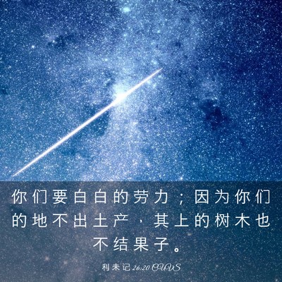 Picture 03 - 利 未 记 26:20 CUVS - 你 们 要 白 白 的 劳 力 ； 因 为 你 - Bible Verse Picture