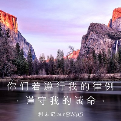 Picture 03 - 利 未 记 26:3 CUVS - 你 们 若 遵 行 我 的 律 例 ， 谨 守 - Bible Verse Picture