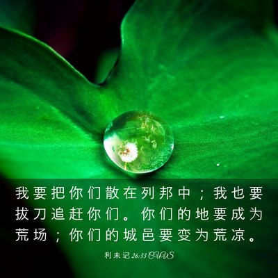 Picture 03 - 利 未 记 26:33 CUVS - 我 要 把 你 们 散 在 列 邦 中 ； 我 - Bible Verse Picture