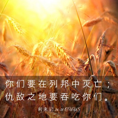 Picture 03 - 利 未 记 26:38 CUVS - 你 们 要 在 列 邦 中 灭 亡 ； 仇 敌 - Bible Verse Picture