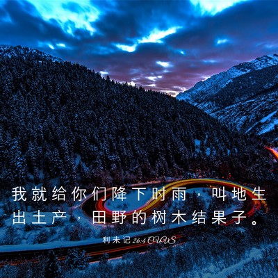 Picture 03 - 利 未 记 26:4 CUVS - 我 就 给 你 们 降 下 时 雨 ， 叫 地 - Bible Verse Picture