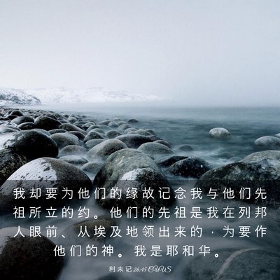 Picture 03 - 利 未 记 26:45 CUVS - 我 却 要 为 他 们 的 缘 故 记 念 我 - Bible Verse Picture