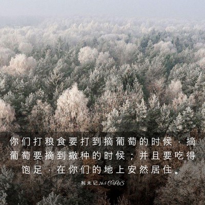 Picture 03 - 利 未 记 26:5 CUVS - 你 们 打 粮 食 要 打 到 摘 葡 萄 的 - Bible Verse Picture