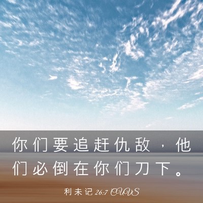 Picture 03 - 利 未 记 26:7 CUVS - 你 们 要 追 赶 仇 敌 ， 他 们 必 倒 - Bible Verse Picture