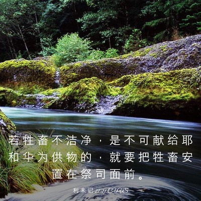 Picture 03 - 利 未 记 27:11 CUVS - 若 牲 畜 不 洁 净 ， 是 不 可 献 给 - Bible Verse Picture