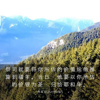 Picture 03 - 利 未 记 27:23 CUVS - 祭 司 就 要 将 你 所 估 的 价 值 给 - Bible Verse Picture
