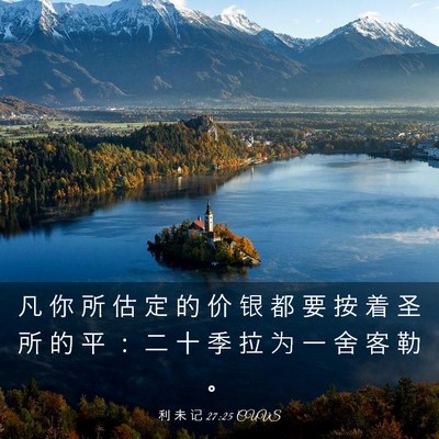 Picture 03 - 利 未 记 27:25 CUVS - 凡 你 所 估 定 的 价 银 都 要 按 着 - Bible Verse Picture
