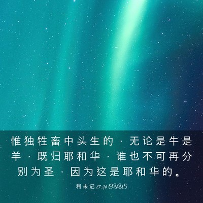 Picture 03 - 利 未 记 27:26 CUVS - 惟 独 牲 畜 中 头 生 的 ， 无 论 是 - Bible Verse Picture