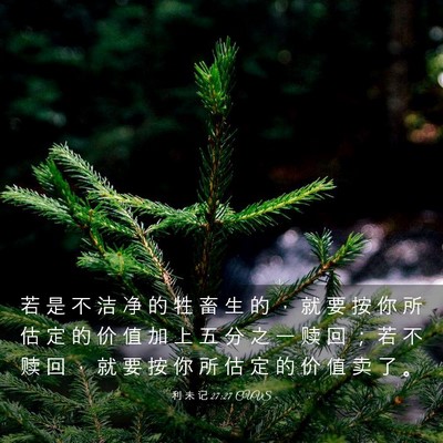 Picture 03 - 利 未 记 27:27 CUVS - 若 是 不 洁 净 的 牲 畜 生 的 ， 就 - Bible Verse Picture