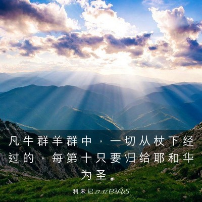 Picture 03 - 利 未 记 27:32 CUVS - 凡 牛 群 羊 群 中 ， 一 切 从 杖 下 - Bible Verse Picture