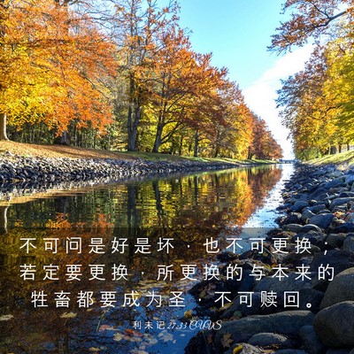 Picture 03 - 利 未 记 27:33 CUVS - 不 可 问 是 好 是 坏 ， 也 不 可 更 - Bible Verse Picture