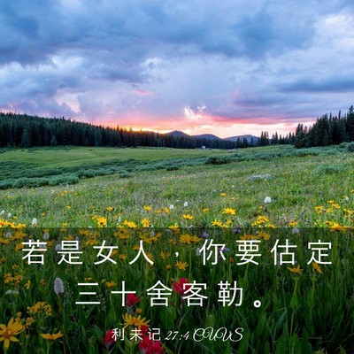 Picture 03 - 利 未 记 27:4 CUVS - 若 是 女 人 ， 你 要 估 定 三 十 舍 - Bible Verse Picture