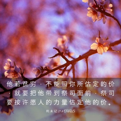 Picture 03 - 利 未 记 27:8 CUVS - 他 若 贫 穷 ， 不 能 照 你 所 估 定 - Bible Verse Picture