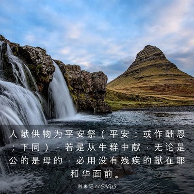 Picture 03 - 利 未 记 3:1 CUVS - 人 献 供 物 为 平 安 祭 （ 平 安 ： - Bible Verse Picture