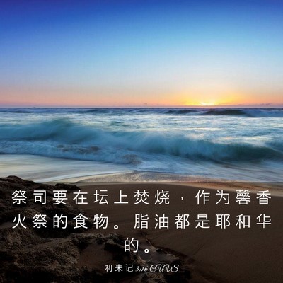 Picture 03 - 利 未 记 3:16 CUVS - 祭 司 要 在 坛 上 焚 烧 ， 作 为 馨 - Bible Verse Picture