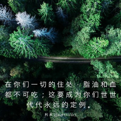 Picture 03 - 利 未 记 3:17 CUVS - 在 你 们 一 切 的 住 处 ， 脂 油 和 - Bible Verse Picture