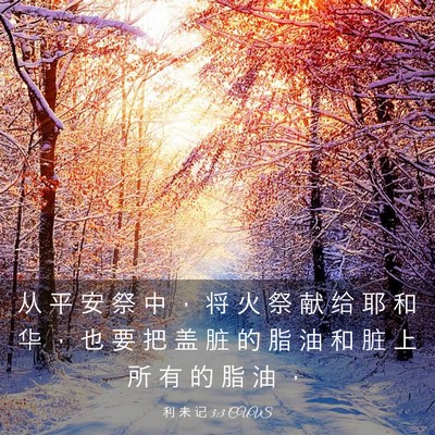 Picture 03 - 利 未 记 3:3 CUVS - 从 平 安 祭 中 ， 将 火 祭 献 给 耶 - Bible Verse Picture