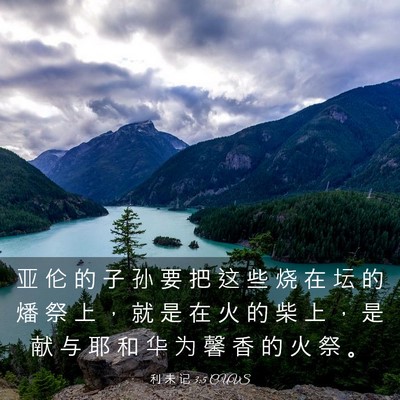 Picture 03 - 利 未 记 3:5 CUVS - 亚 伦 的 子 孙 要 把 这 些 烧 在 坛 - Bible Verse Picture