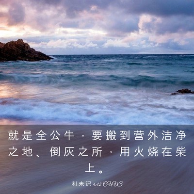 Picture 03 - 利 未 记 4:12 CUVS - 就 是 全 公 牛 ， 要 搬 到 营 外 洁 - Bible Verse Picture