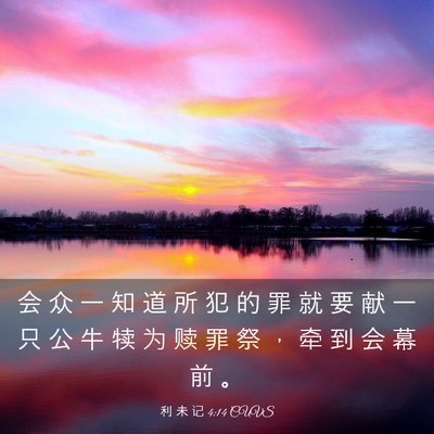 Picture 03 - 利 未 记 4:14 CUVS - 会 众 一 知 道 所 犯 的 罪 就 要 献 - Bible Verse Picture