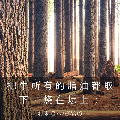 Picture 03 - 利 未 记 4:19 CUVS - 把 牛 所 有 的 脂 油 都 取 下 ， 烧 - Bible Verse Picture