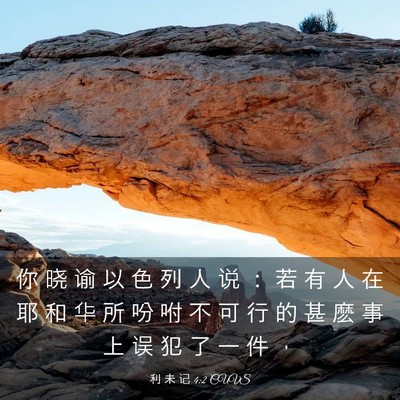 Picture 03 - 利 未 记 4:2 CUVS - 你 晓 谕 以 色 列 人 说 ： 若 有 人 - Bible Verse Picture