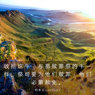 Picture 03 - 利 未 记 4:20 CUVS - 收 拾 这 牛 ， 与 那 赎 罪 祭 的 牛 - Bible Verse Picture
