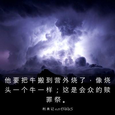 Picture 03 - 利 未 记 4:21 CUVS - 他 要 把 牛 搬 到 营 外 烧 了 ， 像 - Bible Verse Picture