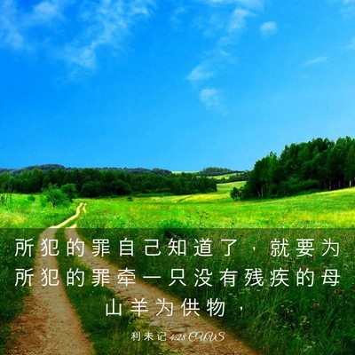 Picture 03 - 利 未 记 4:28 CUVS - 所 犯 的 罪 自 己 知 道 了 ， 就 要 - Bible Verse Picture