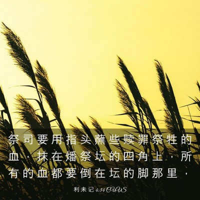 Picture 03 - 利 未 记 4:34 CUVS - 祭 司 要 用 指 头 蘸 些 赎 罪 祭 牲 - Bible Verse Picture