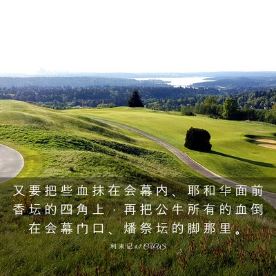 Picture 03 - 利 未 记 4:7 CUVS - 又 要 把 些 血 抹 在 会 幕 内 、 耶 - Bible Verse Picture