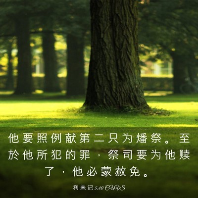Picture 03 - 利 未 记 5:10 CUVS - 他 要 照 例 献 第 二 只 为 燔 祭 。 - Bible Verse Picture