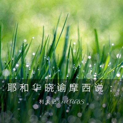 Picture 03 - 利 未 记 5:14 CUVS - 耶 和 华 晓 谕 摩 西 说 - Bible Verse Picture