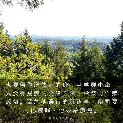 Picture 03 - 利 未 记 5:18 CUVS - 也 要 照 你 所 估 定 的 价 ， 从 羊 - Bible Verse Picture