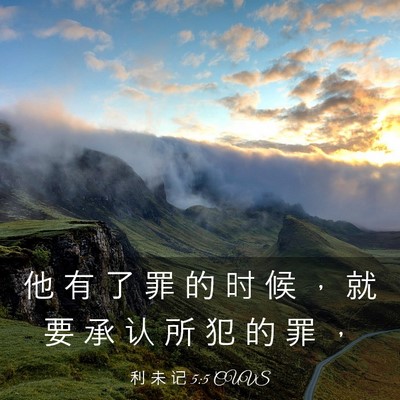 Picture 03 - 利 未 记 5:5 CUVS - 他 有 了 罪 的 时 候 ， 就 要 承 认 - Bible Verse Picture