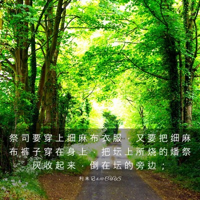 Picture 03 - 利 未 记 6:10 CUVS - 祭 司 要 穿 上 细 麻 布 衣 服 ， 又 - Bible Verse Picture