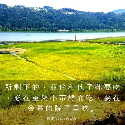 Picture 03 - 利 未 记 6:16 CUVS - 所 剩 下 的 ， 亚 伦 和 他 子 孙 要 - Bible Verse Picture