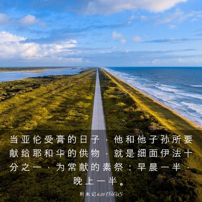 Picture 03 - 利 未 记 6:20 CUVS - 当 亚 伦 受 膏 的 日 子 ， 他 和 他 - Bible Verse Picture