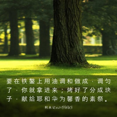 Picture 03 - 利 未 记 6:21 CUVS - 要 在 铁 鏊 上 用 油 调 和 做 成 ， - Bible Verse Picture