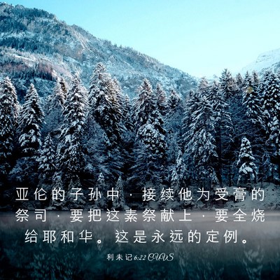 Picture 03 - 利 未 记 6:22 CUVS - 亚 伦 的 子 孙 中 ， 接 续 他 为 受 - Bible Verse Picture