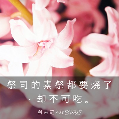 Picture 03 - 利 未 记 6:23 CUVS - 祭 司 的 素 祭 都 要 烧 了 ， 却 不 - Bible Verse Picture
