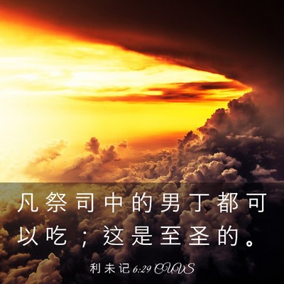 Picture 03 - 利 未 记 6:29 CUVS - 凡 祭 司 中 的 男 丁 都 可 以 吃 ； - Bible Verse Picture