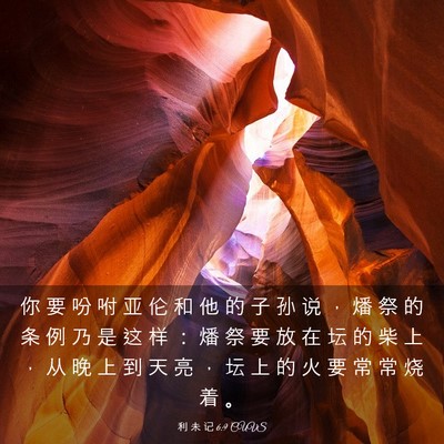 Picture 03 - 利 未 记 6:9 CUVS - 你 要 吩 咐 亚 伦 和 他 的 子 孙 说 - Bible Verse Picture