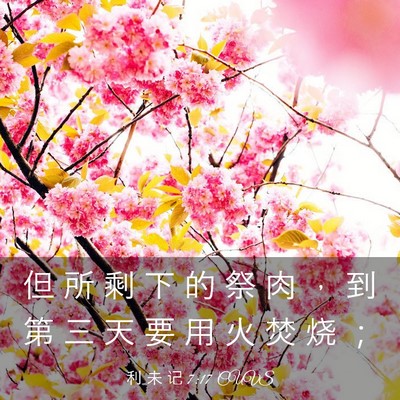 Picture 03 - 利 未 记 7:17 CUVS - 但 所 剩 下 的 祭 肉 ， 到 第 三 天 - Bible Verse Picture