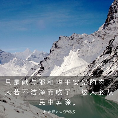 Picture 03 - 利 未 记 7:20 CUVS - 只 是 献 与 耶 和 华 平 安 祭 的 肉 - Bible Verse Picture
